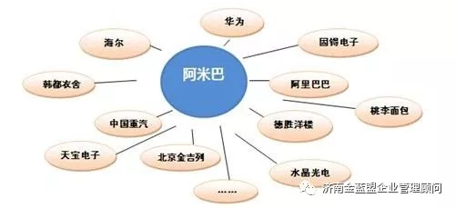 阿米巴 一種經(jīng)營方式與企業(yè)管理的落地實踐
